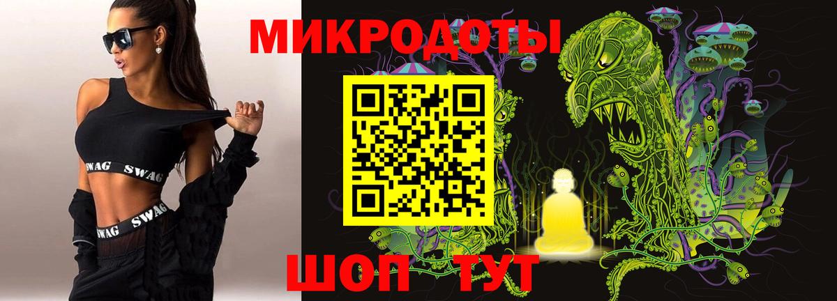 Галлюциногенные грибы Psilocybine cubensis Кимовск